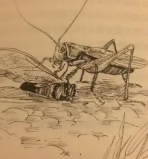 ����������ֳ������� ���ֳ�����ʱ��Ҫע��ϸ��