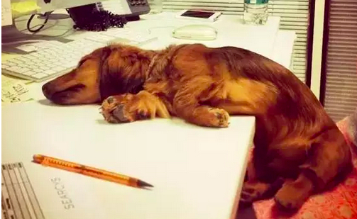 �����ķ�ˮ�кܶ��㶼ע������ ������������Ф