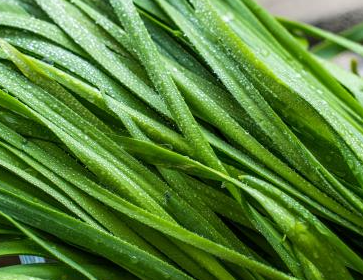 ��Щʳ�����׳�� ���˵�ʮ��Ʒ