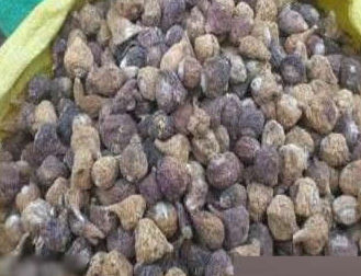 ��Щʳ�����׳�� ���˵�ʮ��Ʒ