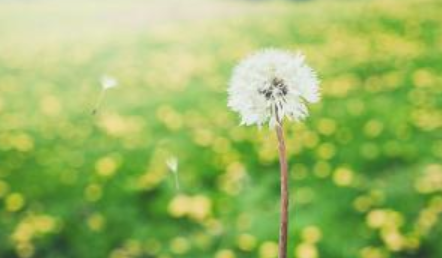 ��ʾ��ӭ�ľ��� ���Ը����Ǵ�����ů�ͺ�����