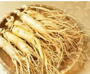 ��Щʳ�����׳�� ���˵�ʮ��Ʒ