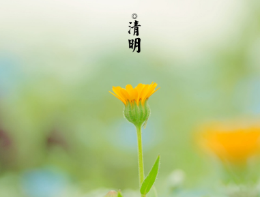 �����ڵ�������д15�� ��һ������������ʢ��ʱ��