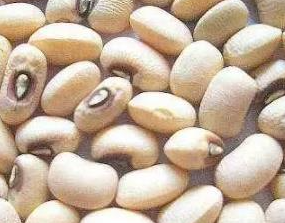 ��Щʳ�����׳�� ���˵�ʮ��Ʒ