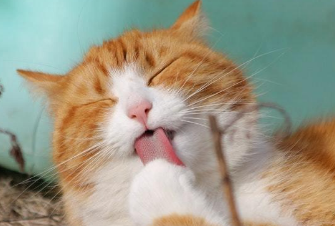 ÿ��һЦ����̵�Ц�� �����ǵ�����������