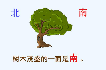 怎样辨别方向 生活中还有哪些辨别方向的办法