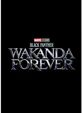 �������ڴ��ĺ����Ƭ���� ������Ƚ��д����Ե�