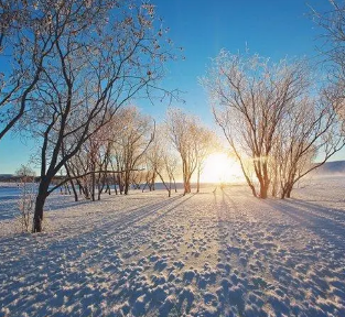 适合雪景的配文 下雪是一件很浪漫的事情