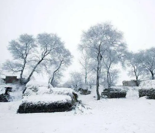 适合雪景的配文 下雪是一件很浪漫的事情