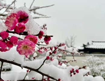 适合雪景的配文 下雪是一件很浪漫的事情