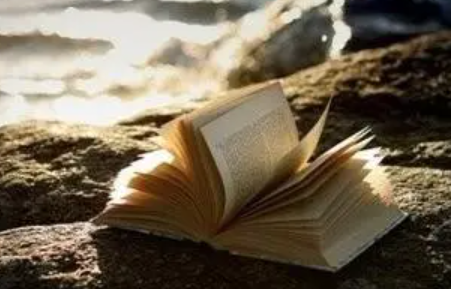 �������񱨸淶�� �����������񱨸�