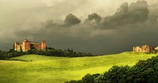 ���������������͵� �޵��޵²�Ϊ��