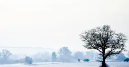 ���������������͵� �޵��޵²�Ϊ��