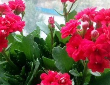 �����ͥÿ�궼�����Գ��ٻ� ������ĳ��ٻ�Ʒ��