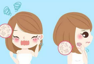 ���������С��ϲ������Ư��  �沿����֪ʶ��ȫ