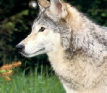 �����ǵ�֪ʶ���� �¸���Ҫѧϰ�ǵ���������