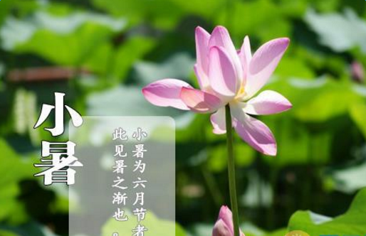 小暑饮食吃什么 小暑吃鳝鱼