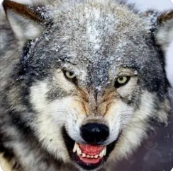 �����ǵ�֪ʶ���� �¸���Ҫѧϰ�ǵ���������