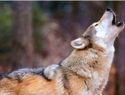 �����ǵ�֪ʶ���� �¸���Ҫѧϰ�ǵ���������