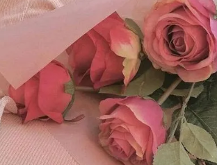 ���˽���������ô���� ����Ԣ�������