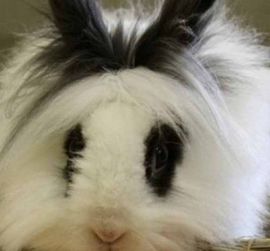 ���������ĸ�Ʒ�ֺ��� ʮ�������Ʒ��