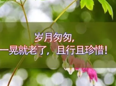 һ�ξ����˵���Ĭ�̾� �����������Լ�ϲ�������������