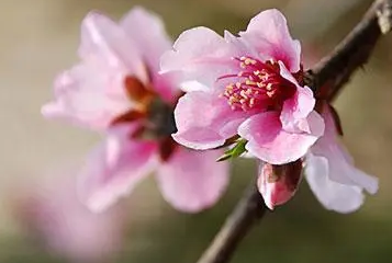 ʣŮ�һ��� Ů�һ�������Щ����