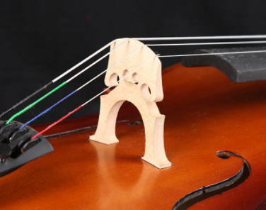 Ů��ѧʲô������ �����ʺ�Ů��������