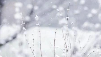下雪天安全温馨提示语 下雪一句话经典语录