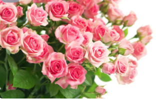 �ҵ���˼������·�黰 ����������ʲô