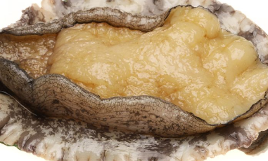 �������Щ��λ �����ܳԵĲ�λ