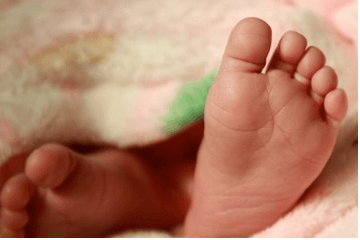 ŵ��Ԣ����ʲô ŵ��ȡ��Ԣ��