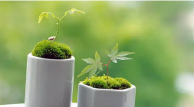 2������֢״��ʲô 2��������ʳһ��ʳ��