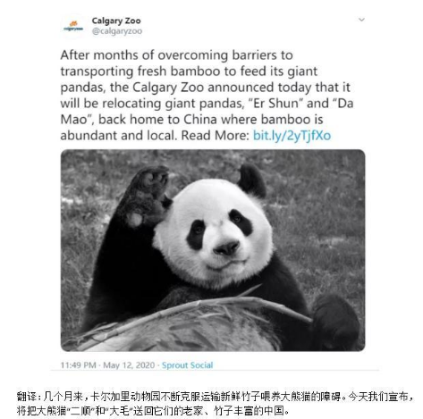 Ϊʲô����è��Ϊ���� ���й����еĶ�����������