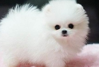 �����Ķ����� ���Դ�ȥѧУ��С����