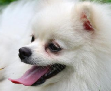 �����Ķ����� ���Դ�ȥѧУ��С����