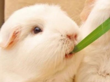 �����Ķ����� ���Դ�ȥѧУ��С����