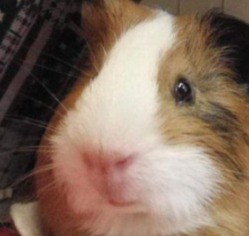 �����Ķ����� ���Դ�ȥѧУ��С����