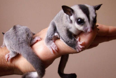 �����Ķ����� ���Դ�ȥѧУ��С����