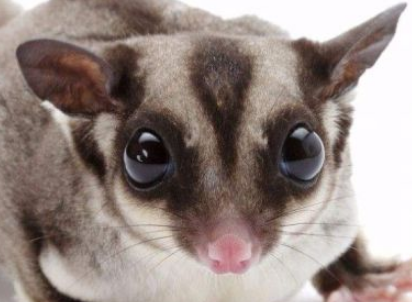 �����Ķ����� ���Դ�ȥѧУ��С����