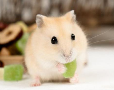 �����Ķ����� ���Դ�ȥѧУ��С����