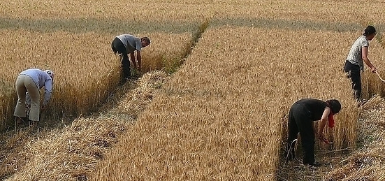 �ܳ��������� С˵��������ʲô