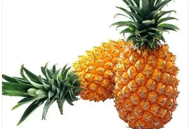 ������Բ�����ʲô�� �Բ��ܶ����Եĺô�