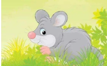 属鼠女起微信名带来好运 大气有格局的微信名