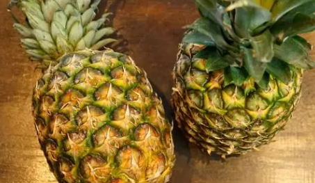 ������Բ�����ʲô�� �Բ��ܶ����Եĺô�