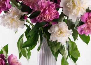 ����Ÿɻ������� �Ÿɻ�����һ����ˮ������