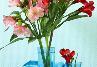 ����Ÿɻ������� �Ÿɻ�����һ����ˮ������