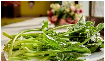 ���˲�����ʲôͬ�� ���ܺͶ����ȶ���Ʒ�����