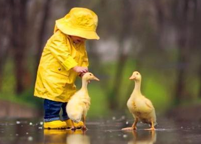 Ů��ϲ����ɫ����ѧ ��ɫ��һ�ִ������ɫ