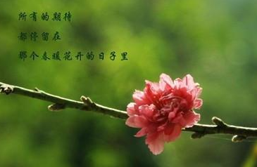 ��һ������ʲô�о� ������Ϊ����